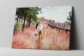 Fotoboard 30 X 40 cm 