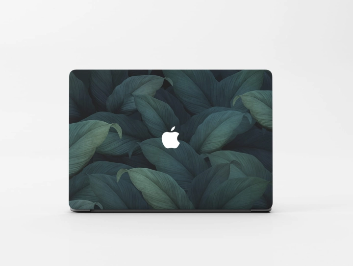 naklejka skin skórka na macbooka - 32.jpg