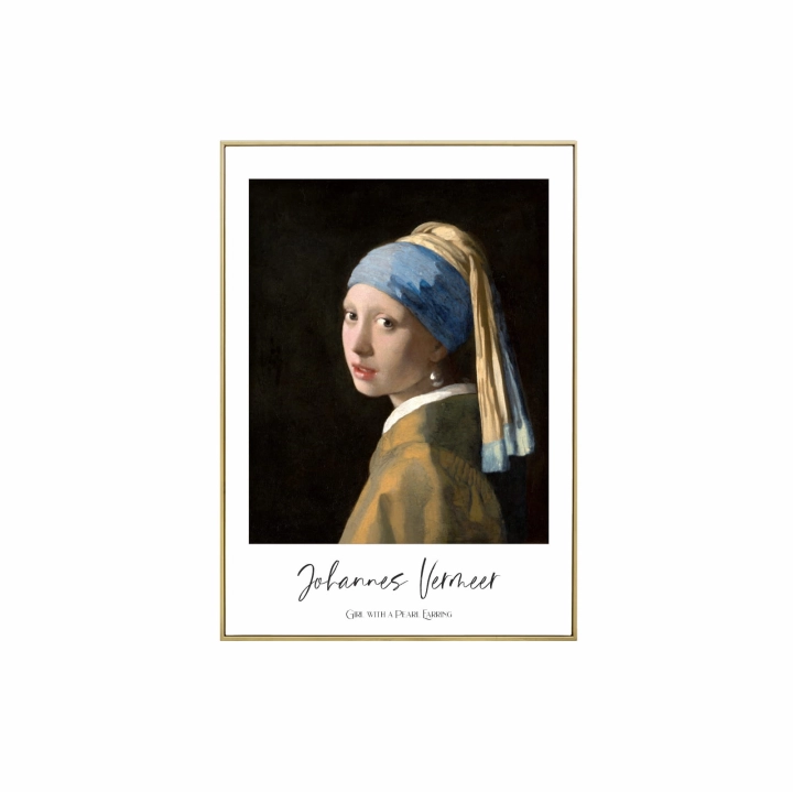 Girl with a Pearl Earring.jpg