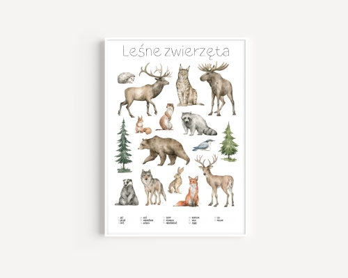 Plakat / Plakat na piance - Edukacyjny - Leśne zwierzęta