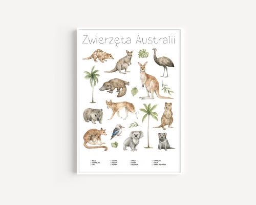 Plakat / Plakat na piance - Edukacyjny - Zwierzęta Australii