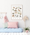 Plakat / Plakat na piance - Edukacyjny - Zwierzęta Australii