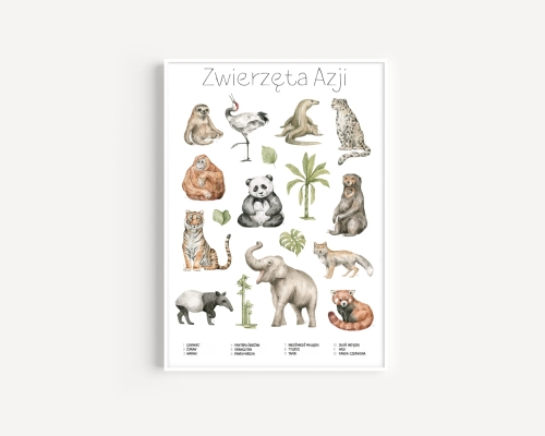 Plakat / Plakat na piance - Edukacyjny - Zwierzęta Azji