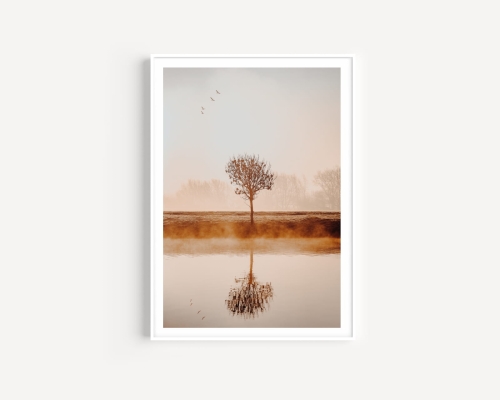 Plakat / Plakat na piance - Samotne drzewo