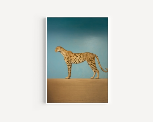 Plakat / Plakat na piance - Gepard