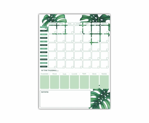 planer monstera 01.jpg