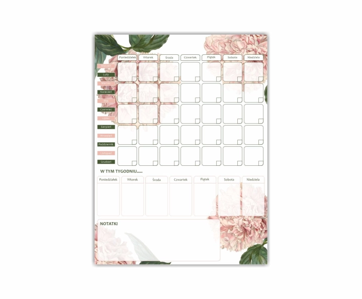 planer peonie 01.jpg